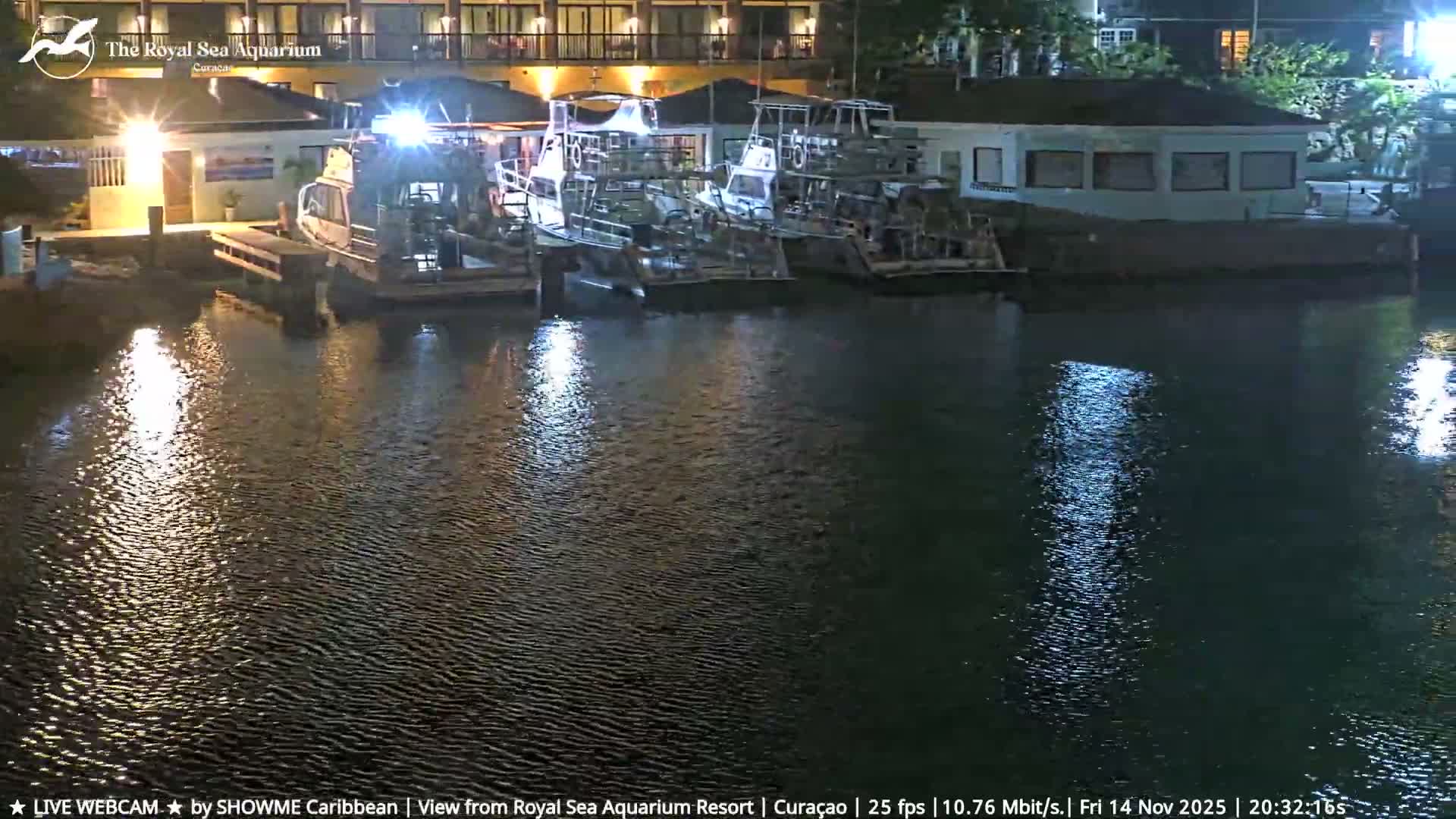 A clear night reveals several boats docked along a waterfront with illuminated buildings in the background, their lights reflecting on the rippling water.