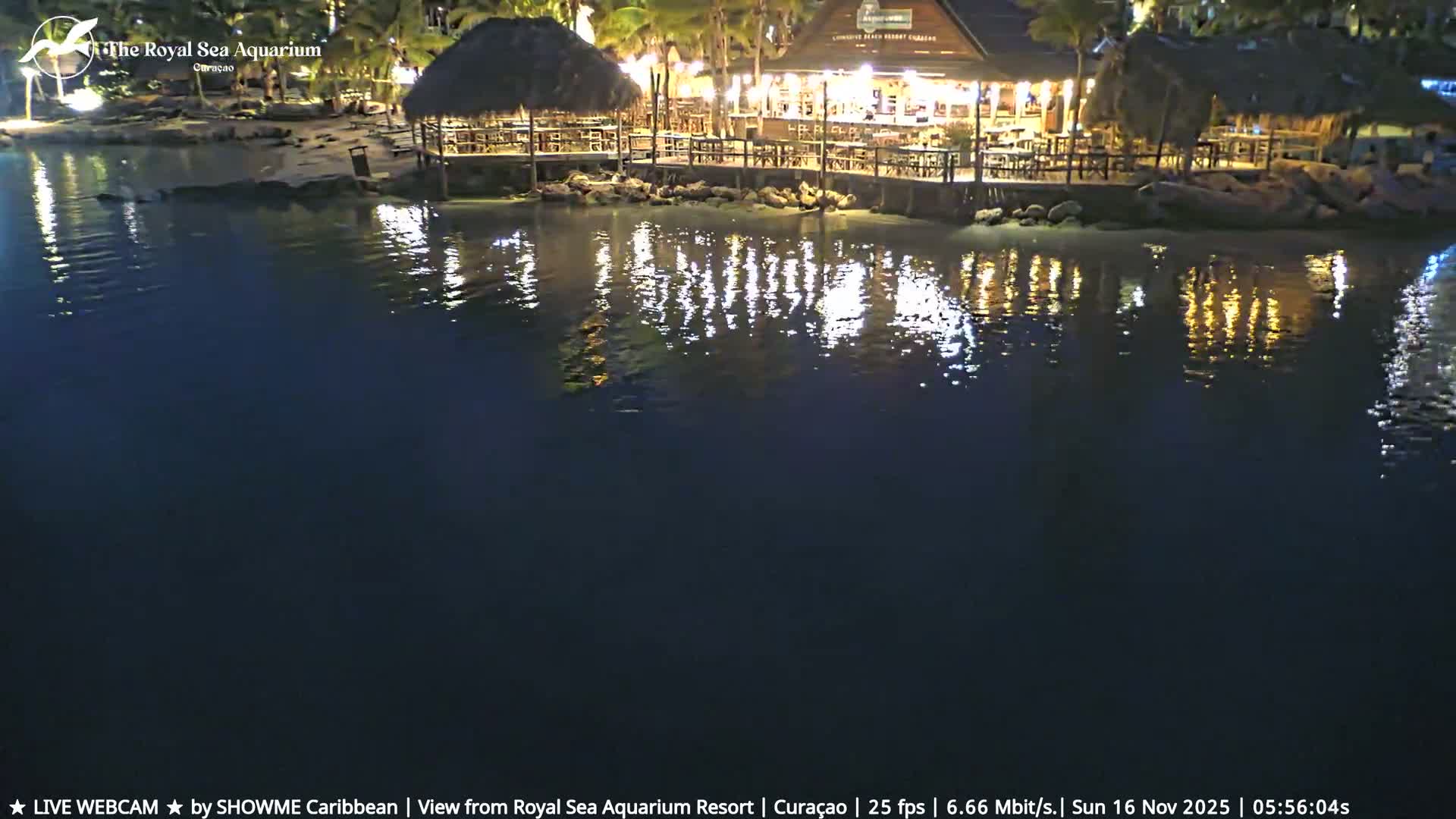 A tranquil tropical resort scene at night features brightly lit buildings, palm trees, and thatched huts reflecting on the calm, dark water under clear skies.