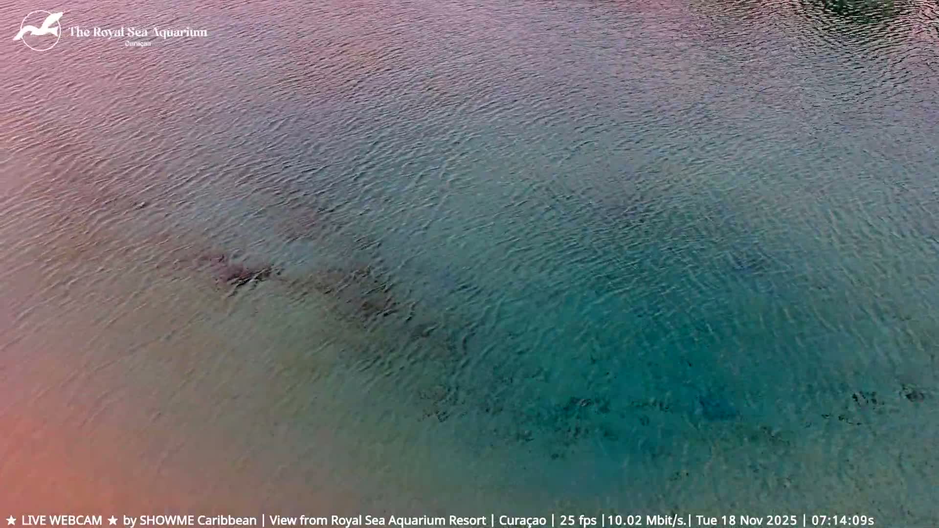 Willemstad, The Royal Sea Aquarium Resort Beach Live Cam - Willemstad, Curacao, Netherland 