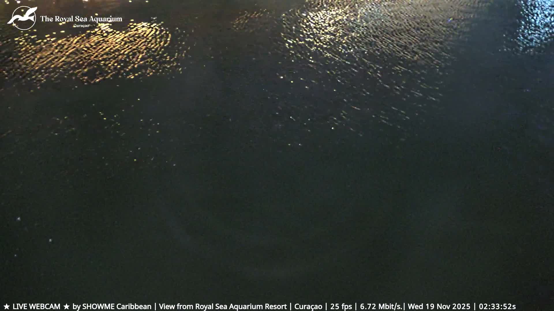 Willemstad, The Royal Sea Aquarium Resort Beach Live Cam - Willemstad, Curacao, Netherland 