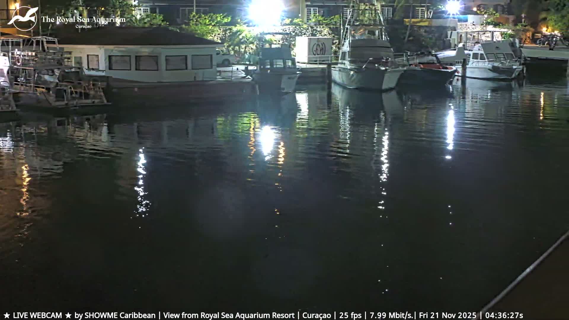 Several boats are moored in calm waters at night, reflecting bright artificial lights from the nearby buildings and docks under a clear sky.