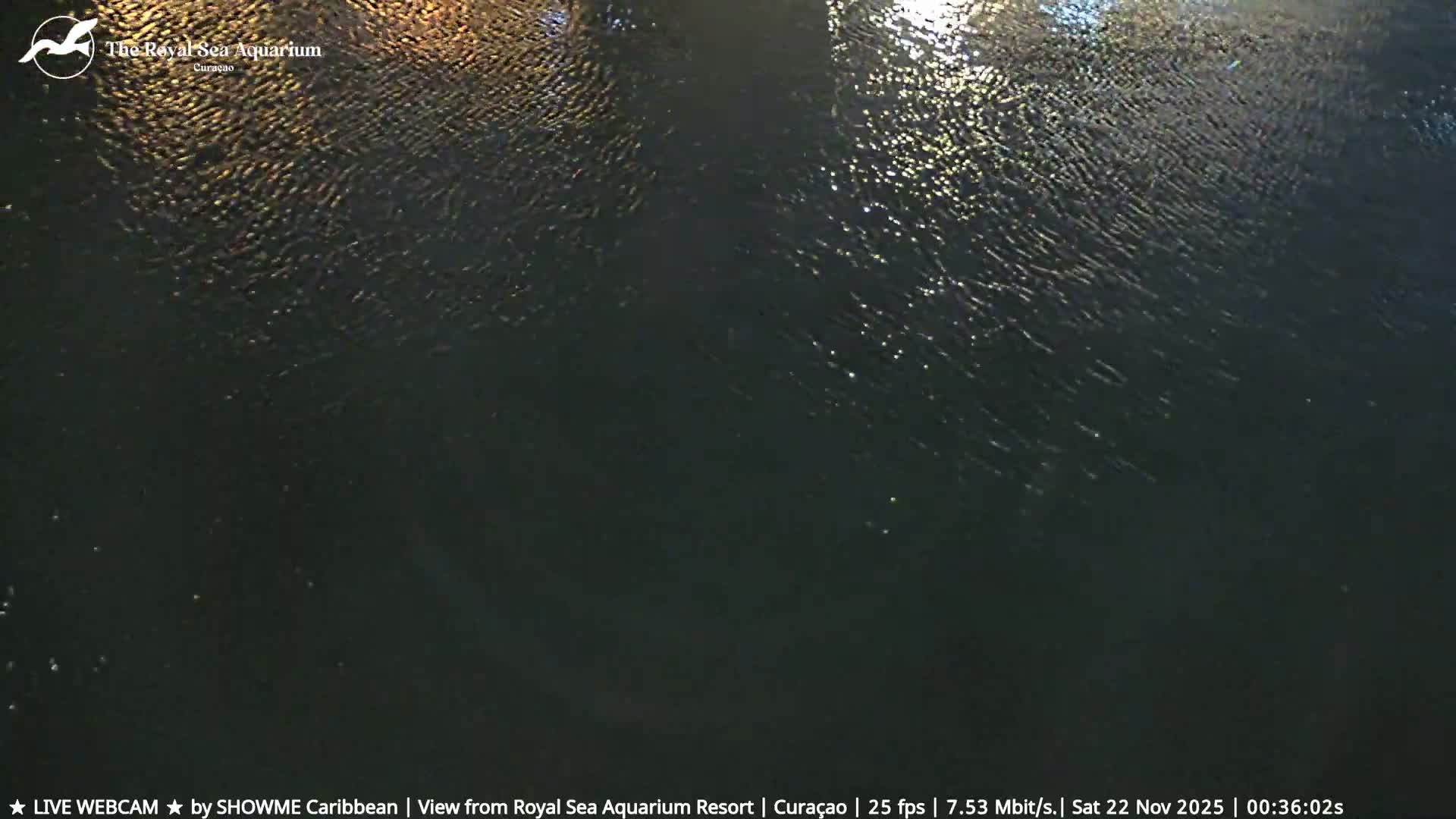 Willemstad, The Royal Sea Aquarium Resort Beach Live Cam - Willemstad, Curacao, Netherland 