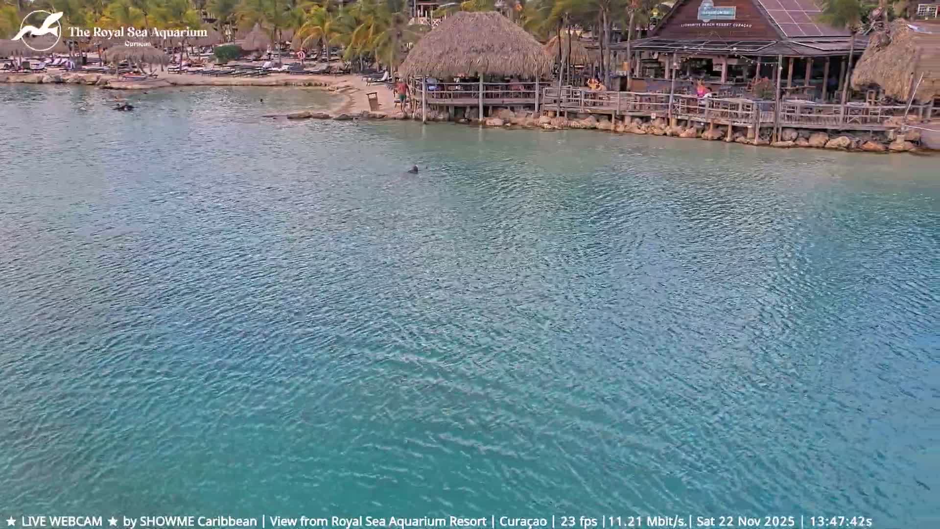 Willemstad, The Royal Sea Aquarium Resort Beach Live Cam - Willemstad, Curacao, Netherland 