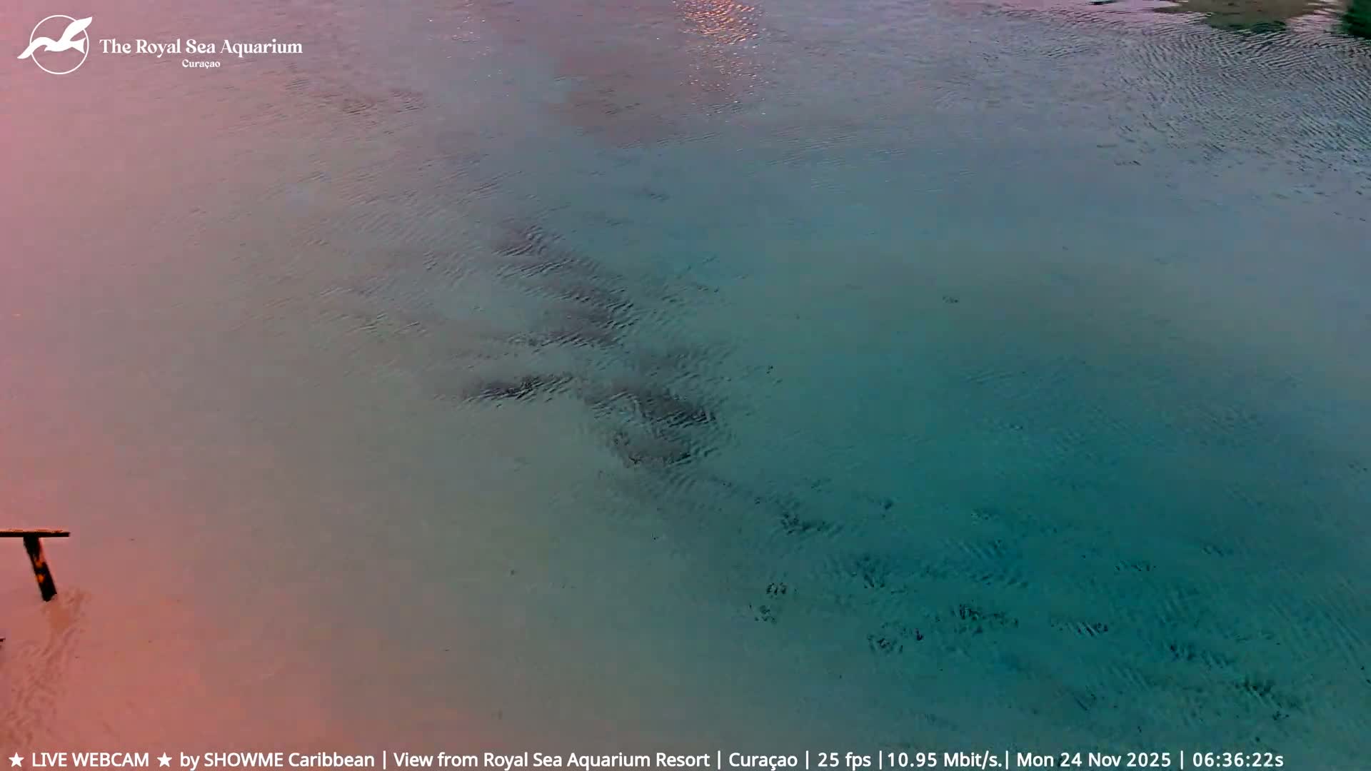 Willemstad, The Royal Sea Aquarium Resort Beach Live Cam - Willemstad, Curacao, Netherland 