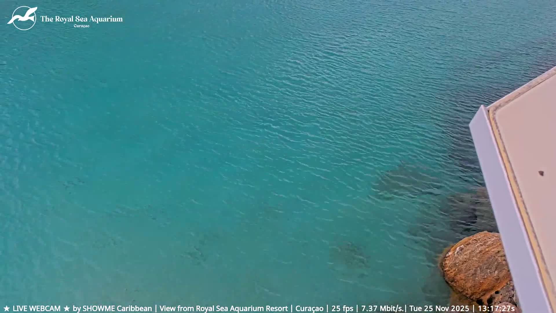 Willemstad, The Royal Sea Aquarium Resort Beach Live Cam - Willemstad, Curacao, Netherland 