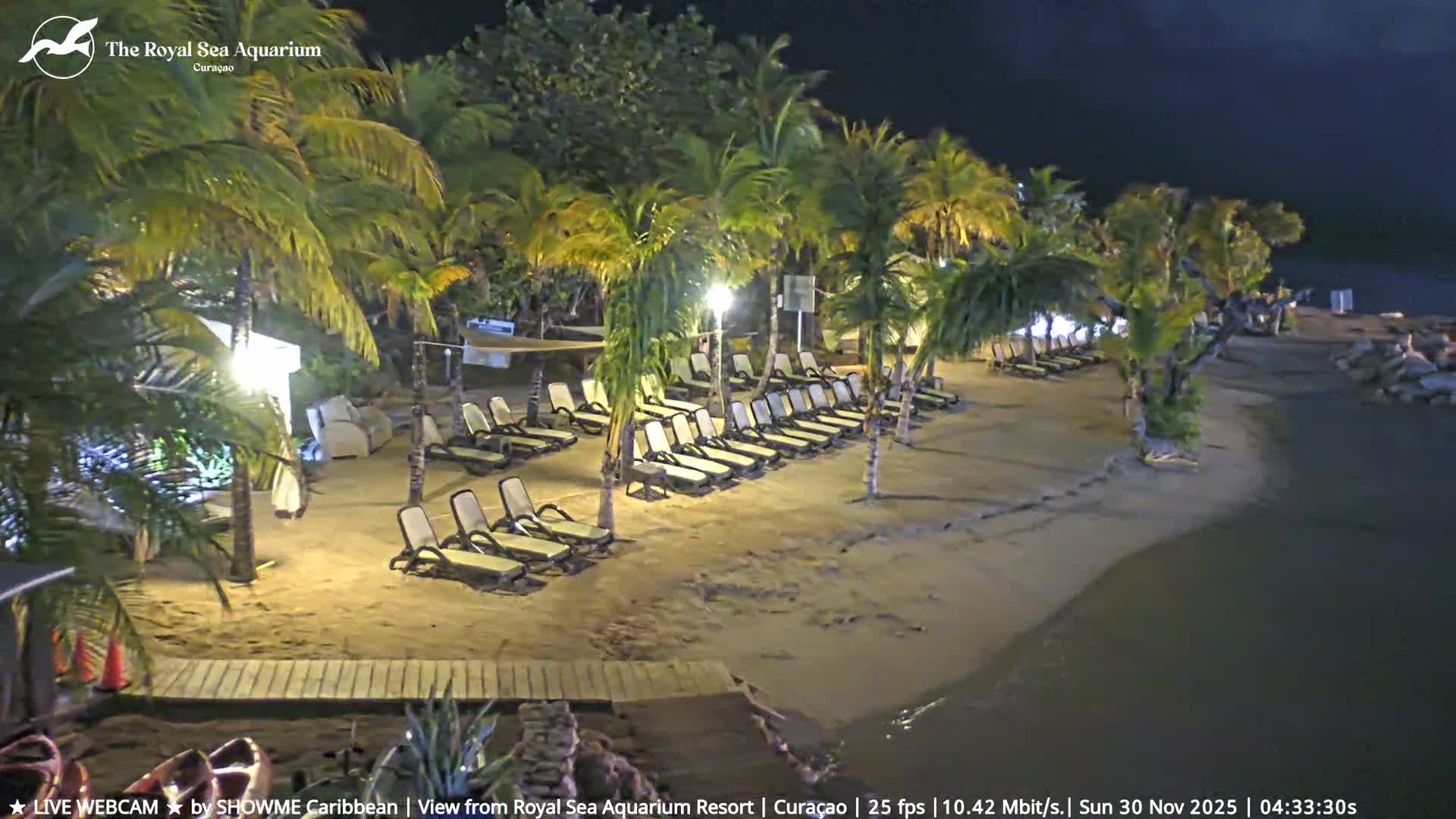 A nighttime view of a tranquil beach illuminated by artificial lights, showcasing numerous palm trees and rows of empty loungers on the sand next to calm water.