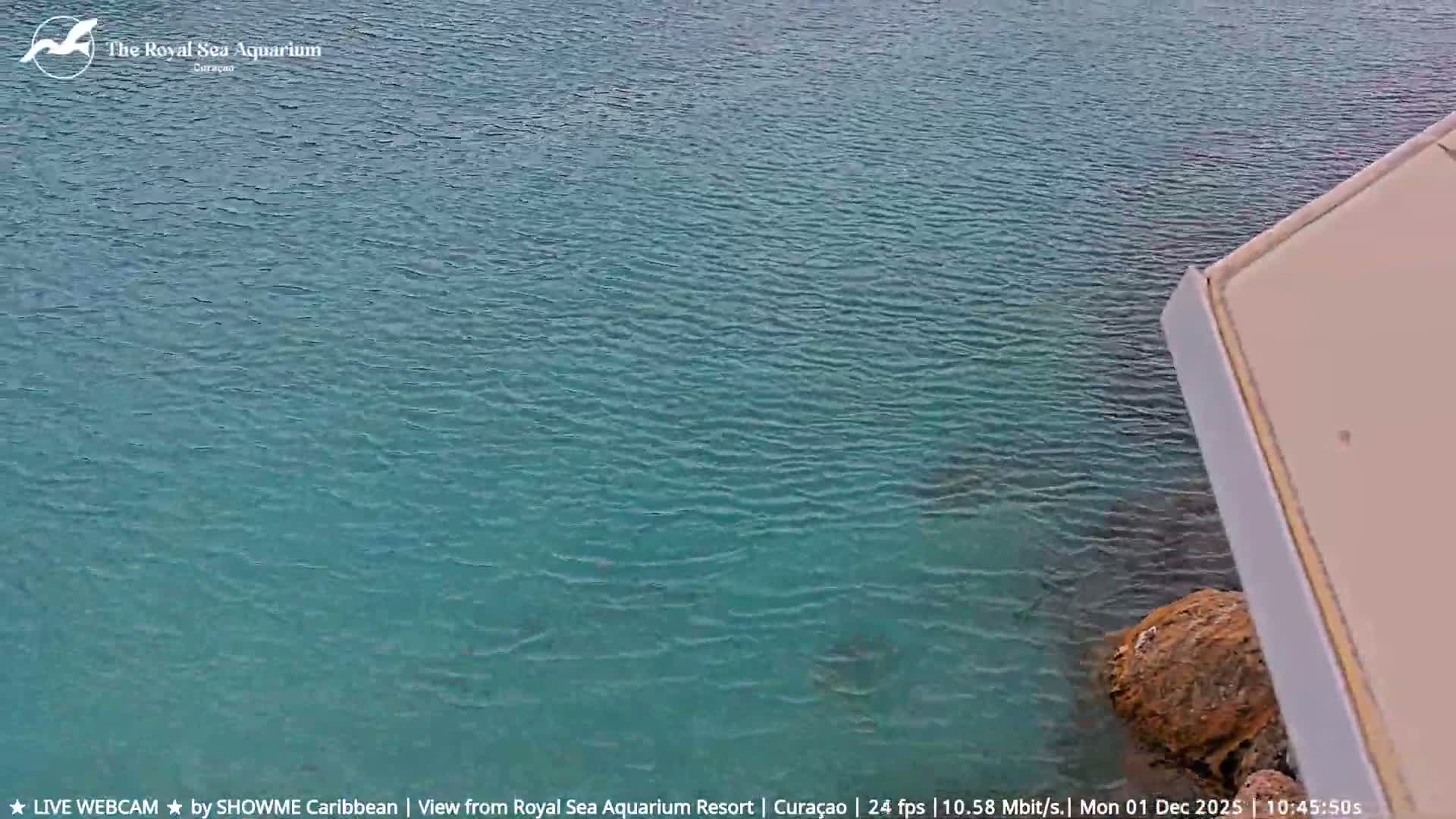 Willemstad, The Royal Sea Aquarium Resort Beach Live Cam - Willemstad, Curacao, Netherland 