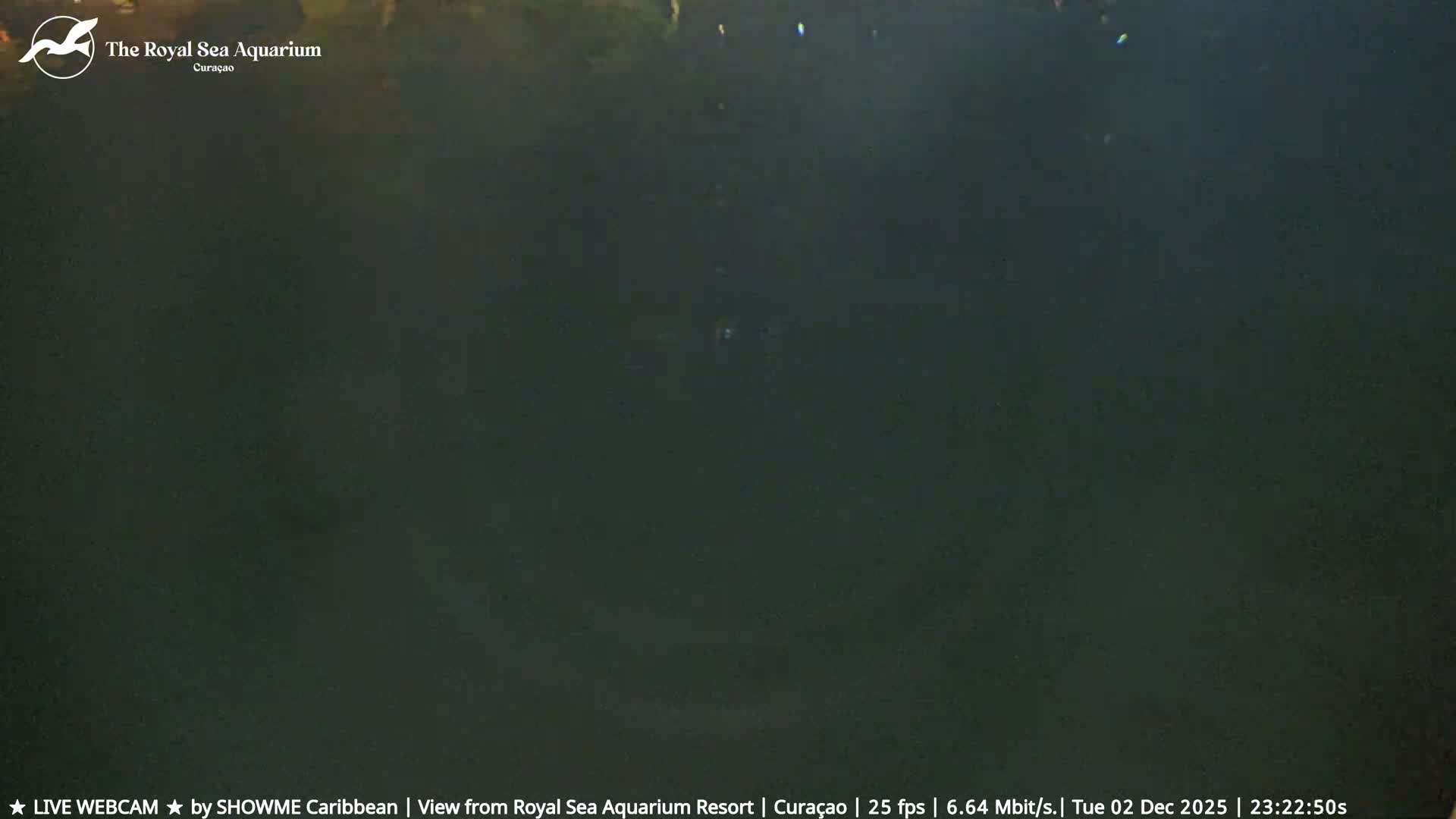 Willemstad, The Royal Sea Aquarium Resort Beach Live Cam - Willemstad, Curacao, Netherland 