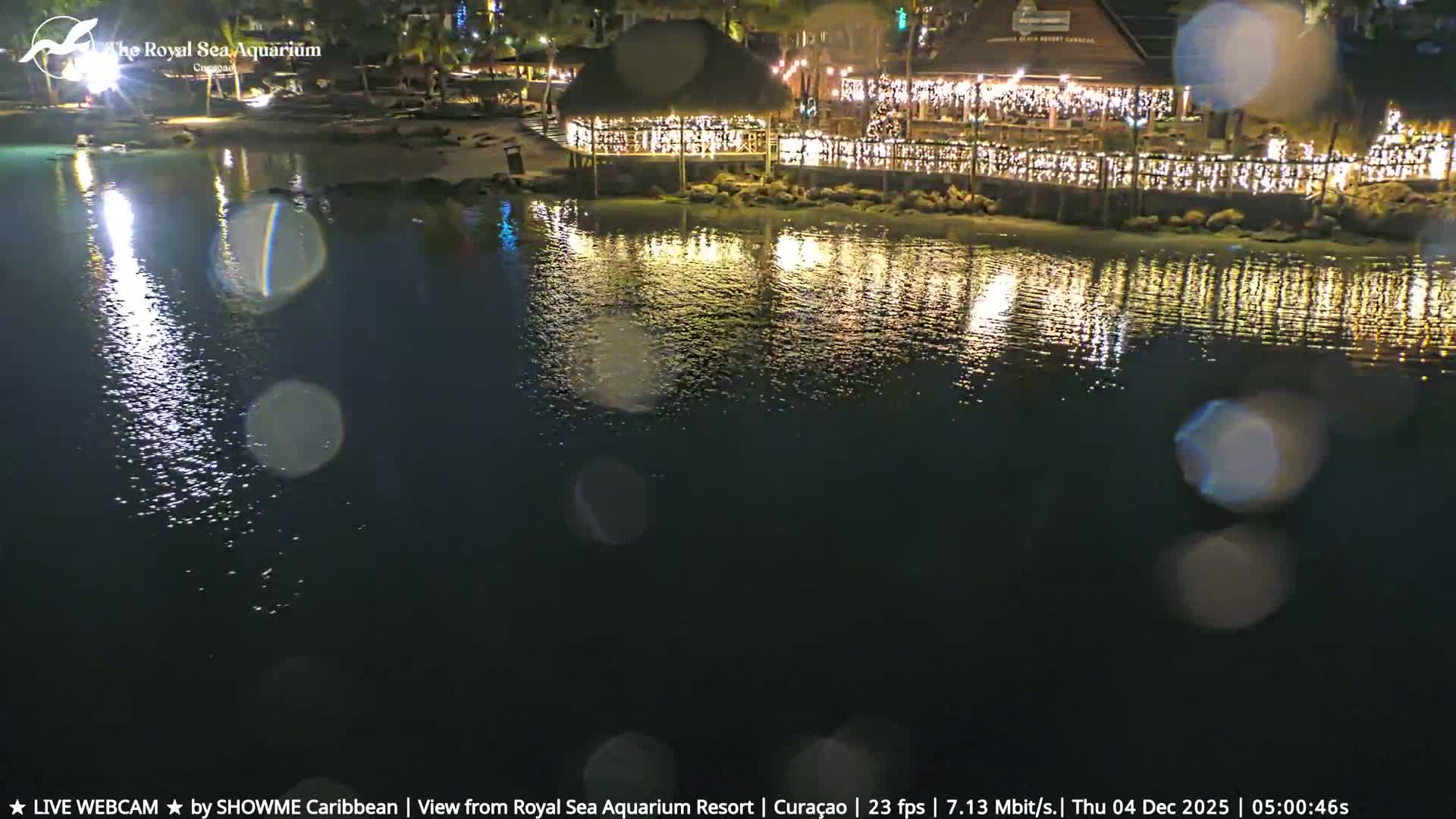 A clear tropical night scene showcases brightly illuminated resort buildings and thatched structures reflecting on still waters.