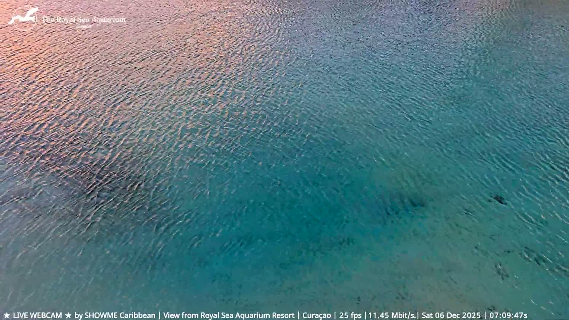 Willemstad, The Royal Sea Aquarium Resort Beach Live Cam - Willemstad, Curacao, Netherland 