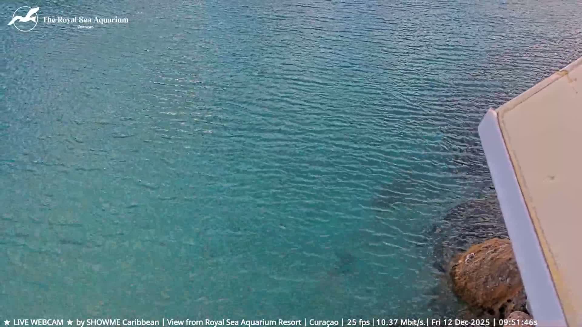 Willemstad, The Royal Sea Aquarium Resort Beach Live Cam - Willemstad, Curacao, Netherland 