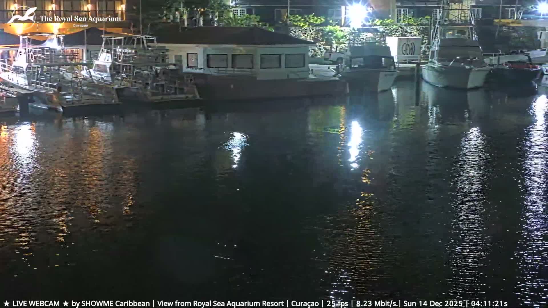 A clear tropical night scene showcases brightly illuminated resort buildings and thatched structures reflecting on still waters.