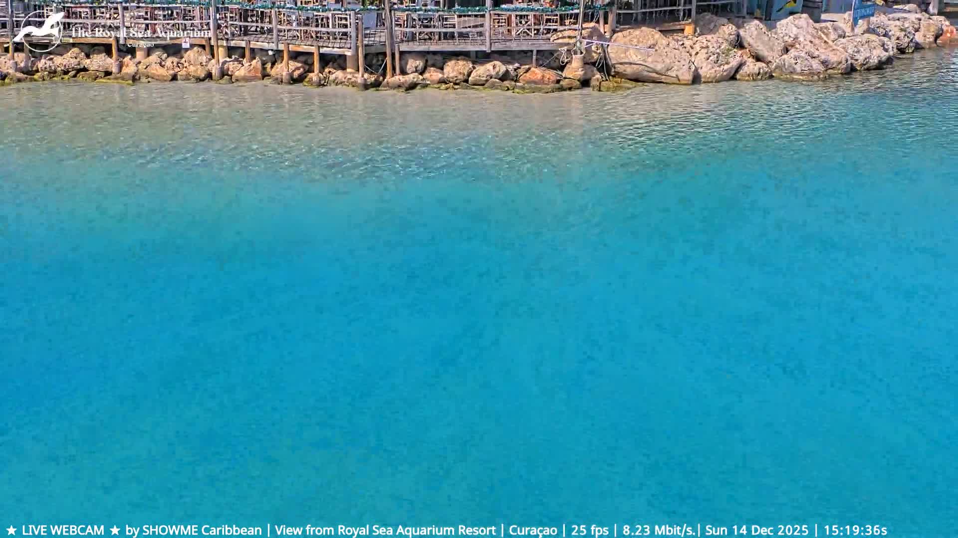 A clear tropical night scene showcases brightly illuminated resort buildings and thatched structures reflecting on still waters.