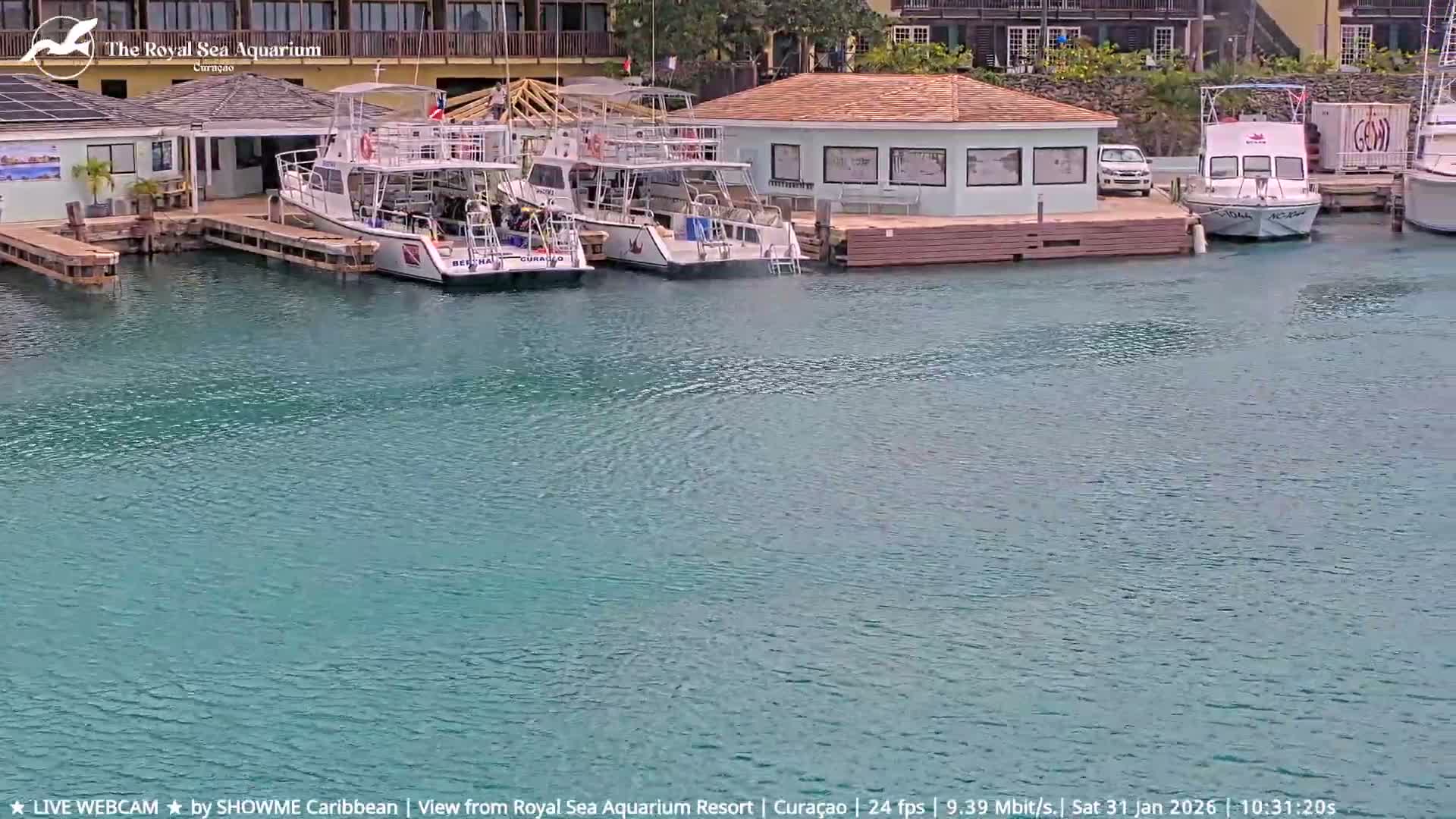 Willemstad, The Royal Sea Aquarium Resort Beach Live Cam - Willemstad, Curacao, Netherland 