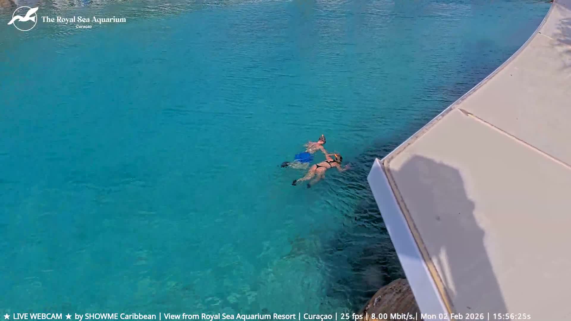 Willemstad, The Royal Sea Aquarium Resort Beach Live Cam - Willemstad, Curacao, Netherland 