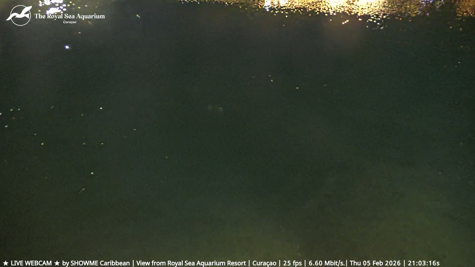 Willemstad, The Royal Sea Aquarium Resort Beach Live Cam - Willemstad, Curacao, Netherland 