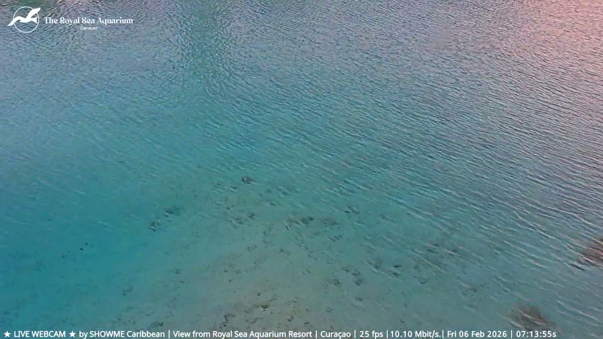 Willemstad, The Royal Sea Aquarium Resort Beach Live Cam - Willemstad, Curacao, Netherland 