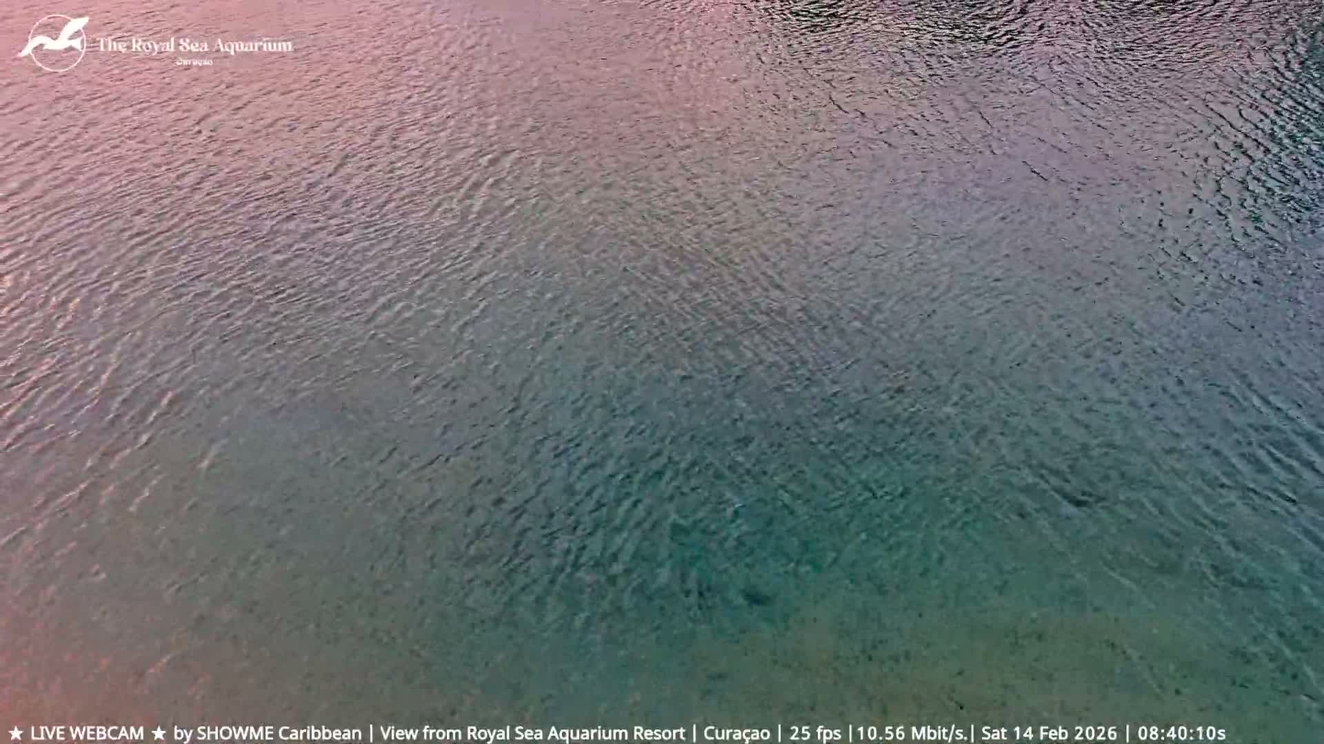 Willemstad, The Royal Sea Aquarium Resort Beach Live Cam - Willemstad, Curacao, Netherland 