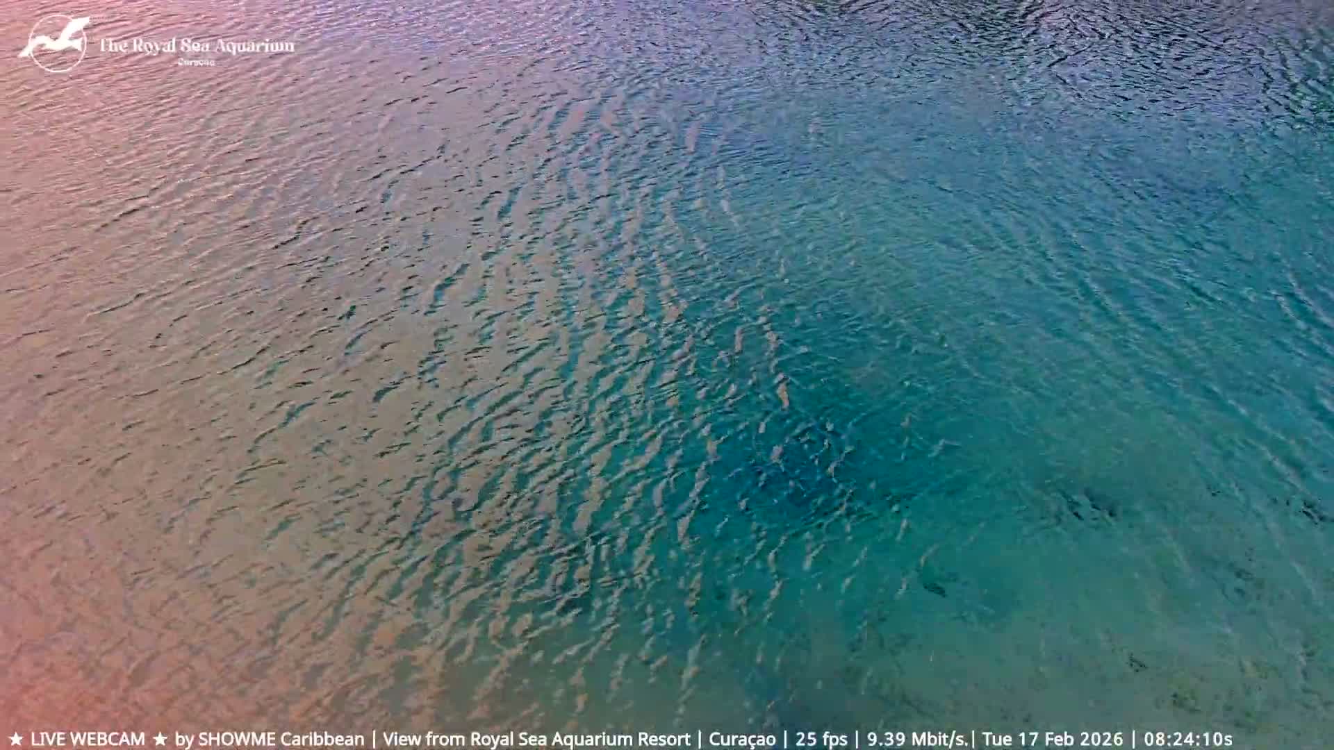 Willemstad, The Royal Sea Aquarium Resort Beach Live Cam - Willemstad, Curacao, Netherland 