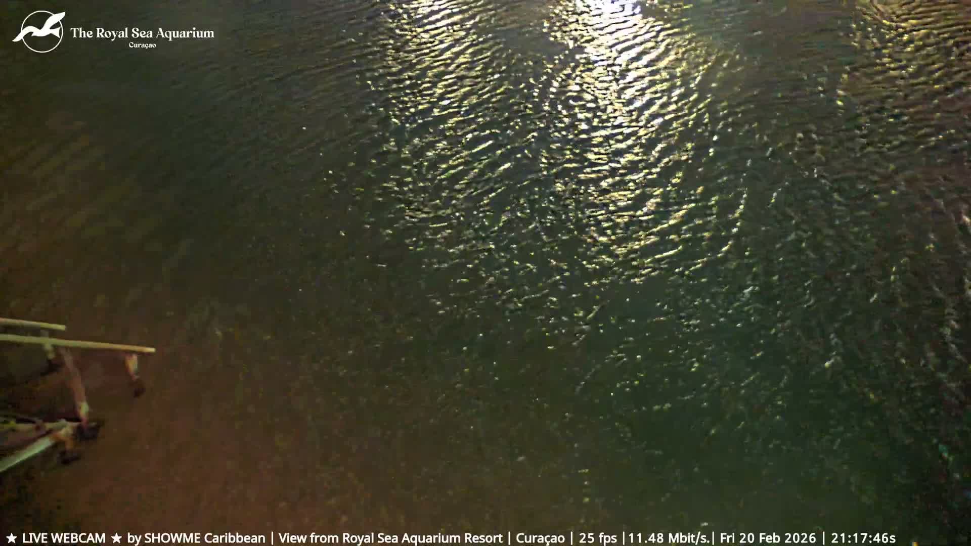 Willemstad, The Royal Sea Aquarium Resort Beach Live Cam - Willemstad, Curacao, Netherland 