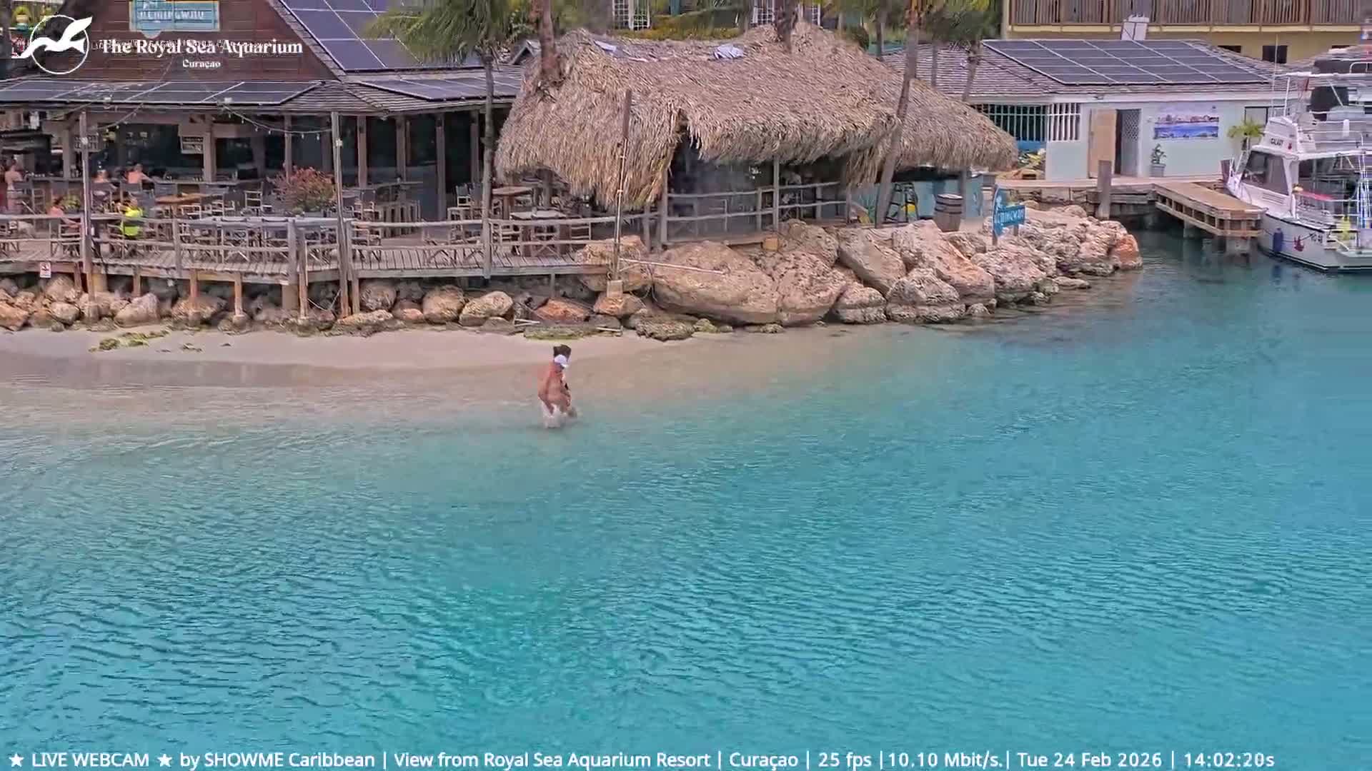 Willemstad, The Royal Sea Aquarium Resort Beach Live Cam - Willemstad, Curacao, Netherland 
