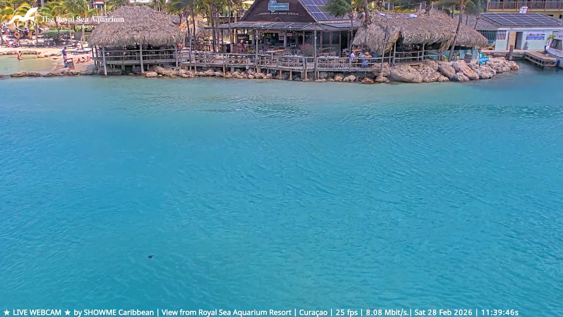 Willemstad, The Royal Sea Aquarium Resort Beach Live Cam - Willemstad, Curacao, Netherland 