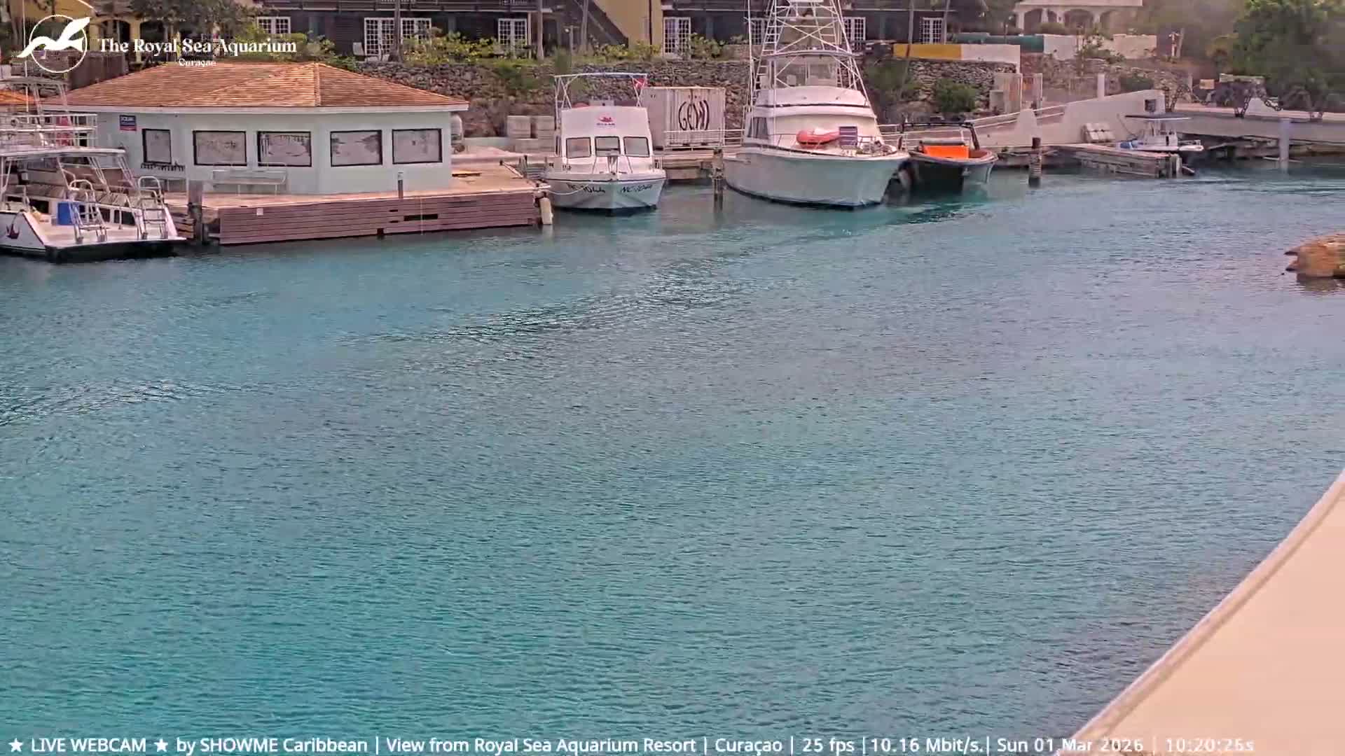 Willemstad, The Royal Sea Aquarium Resort Beach Live Cam - Willemstad, Curacao, Netherland 