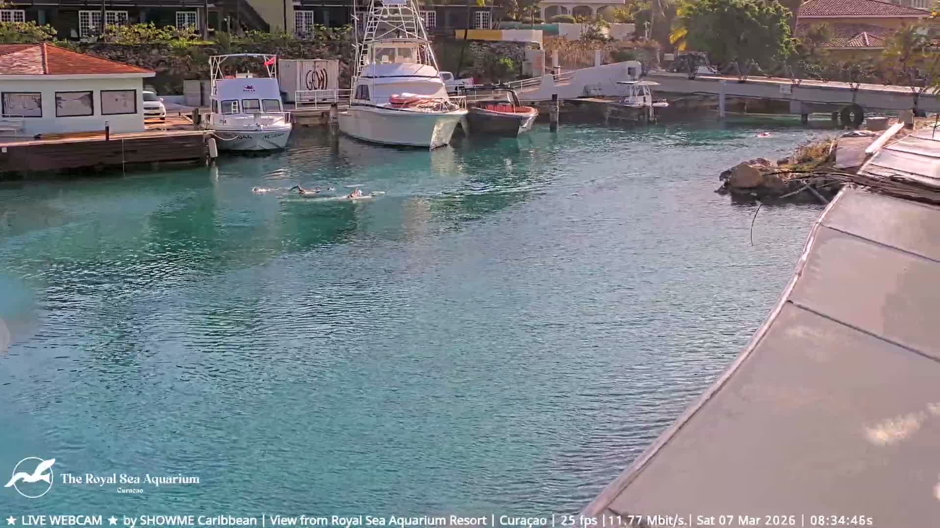 Willemstad, The Royal Sea Aquarium Resort Beach Live Cam - Willemstad, Curacao, Netherland 