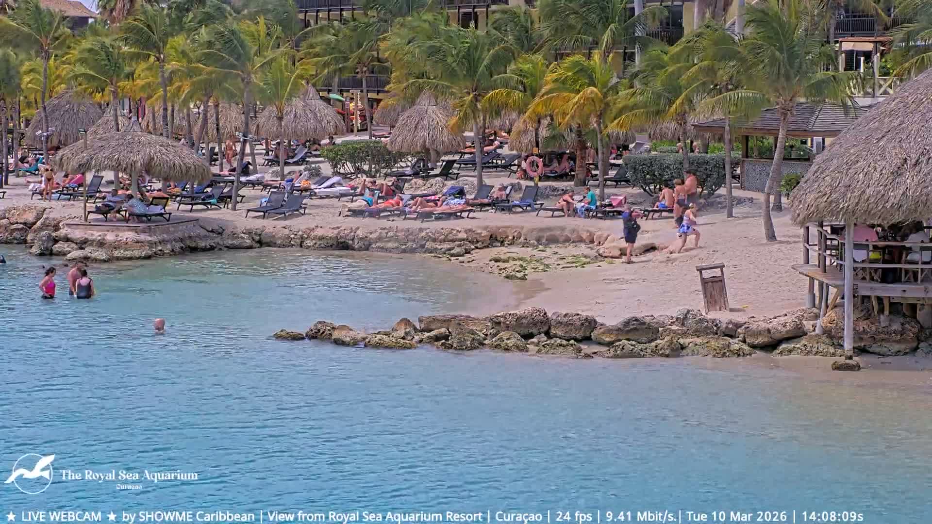 Willemstad, The Royal Sea Aquarium Resort Beach Live Cam - Willemstad, Curacao, Netherland 