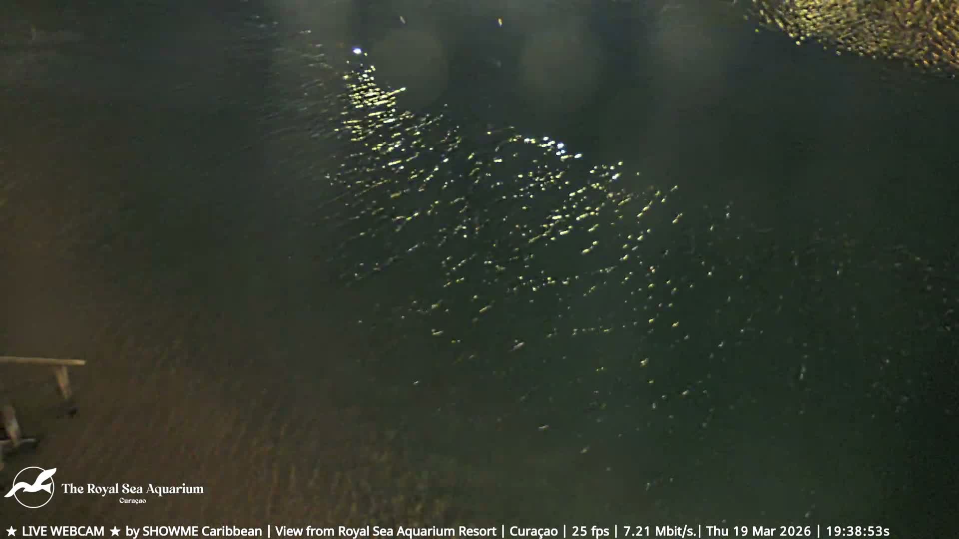 Willemstad, The Royal Sea Aquarium Resort Beach Live Cam - Willemstad, Curacao, Netherland 