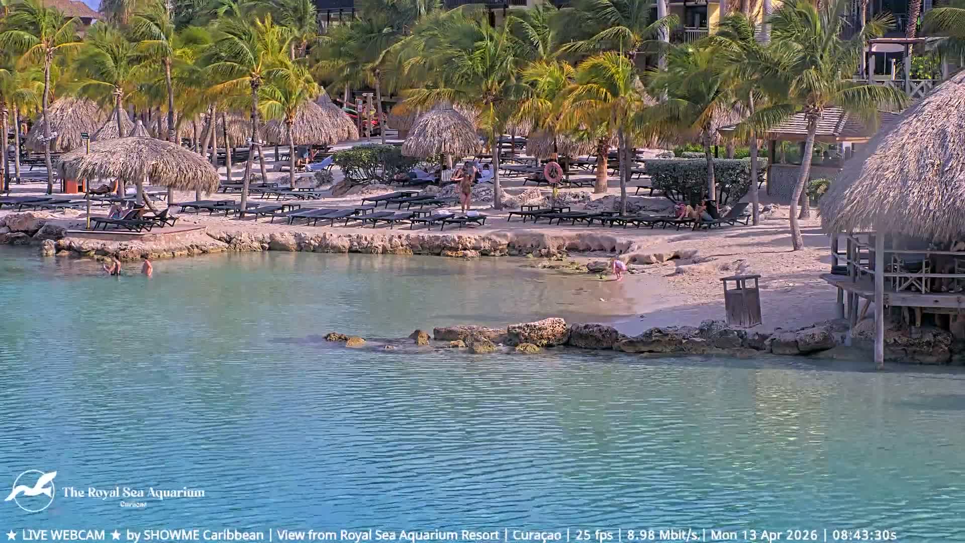 A clear tropical night scene showcases brightly illuminated resort buildings and thatched structures reflecting on still waters.