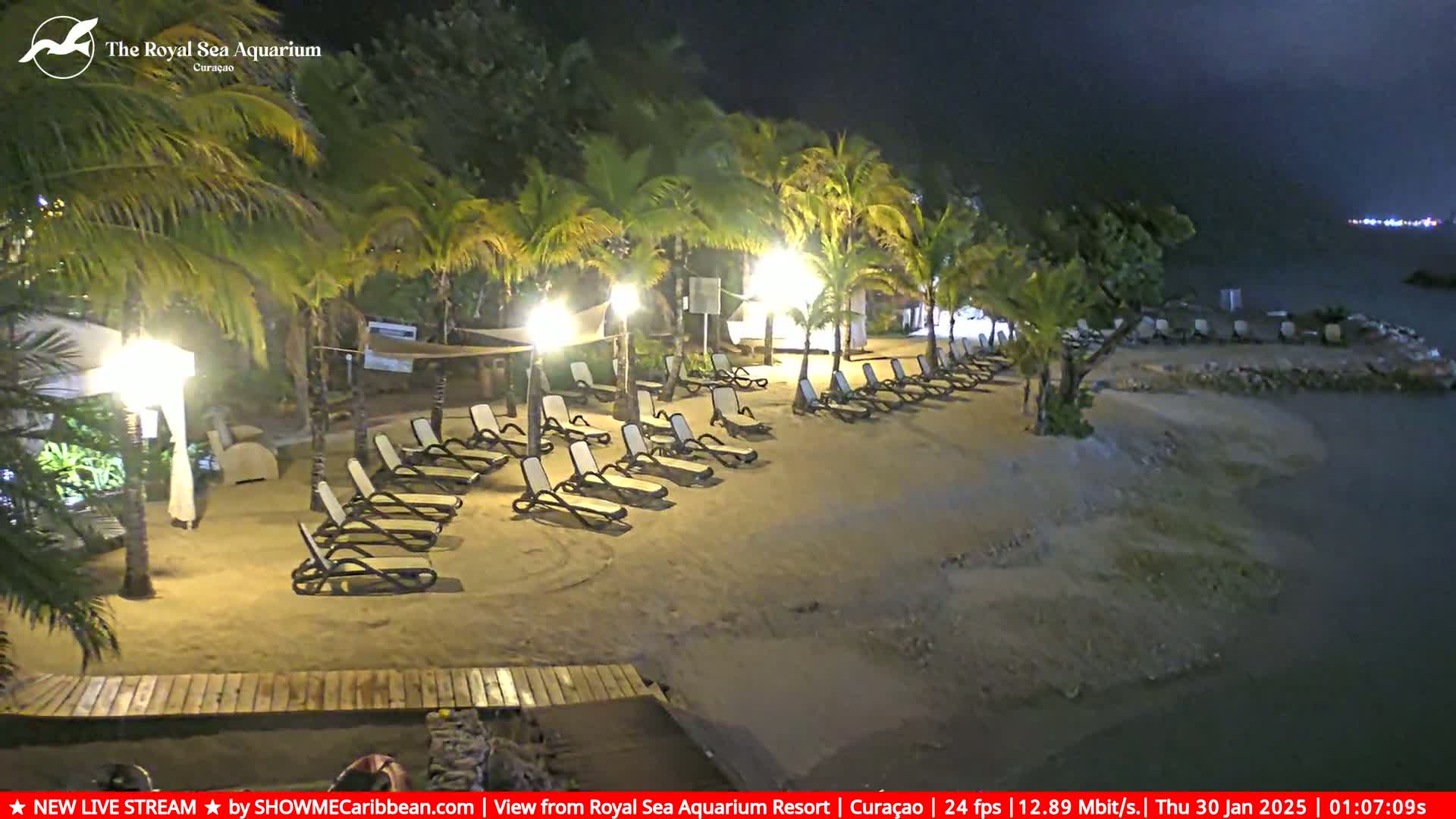 A sandy beach at night, illuminated by artificial lights, features numerous empty lounge chairs under palm trees near calm water.