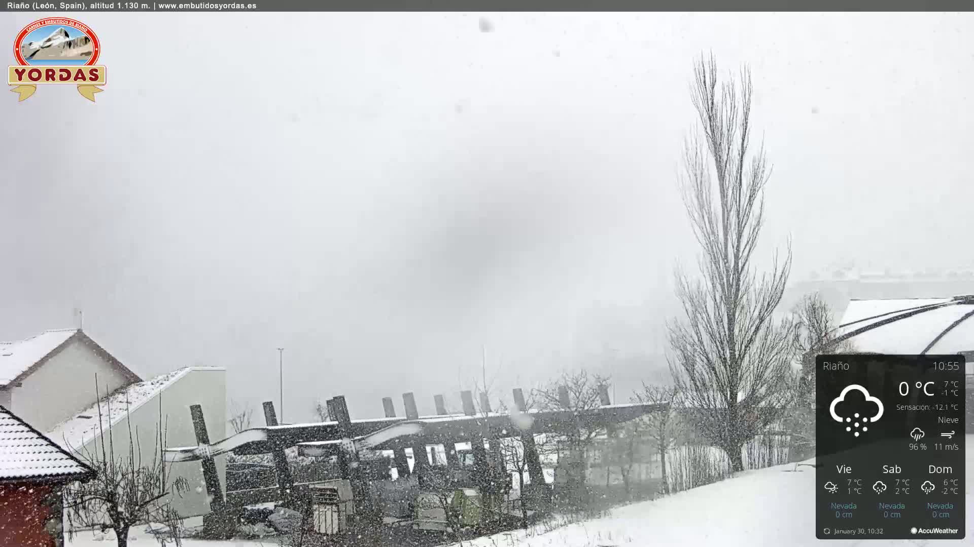 A snow-covered landscape is seen during a heavy snowfall, with bare trees and buildings partially visible through the falling snow.