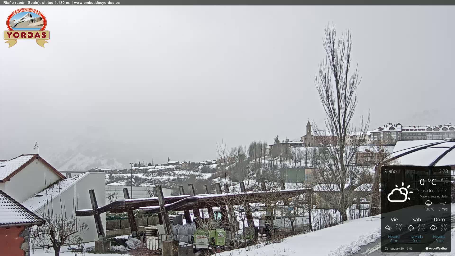 A snow-covered village is viewed from a distance on a mostly cloudy day with light snowfall.