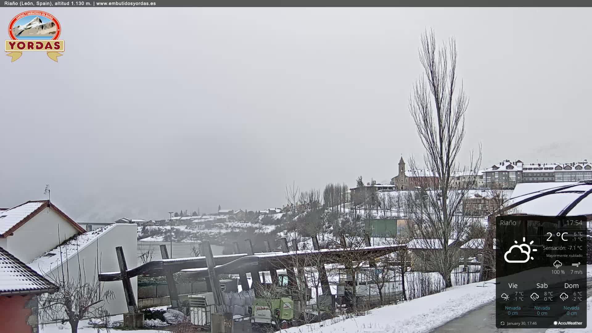 A snow-covered town is viewed from a distance on an overcast day with light snowfall.