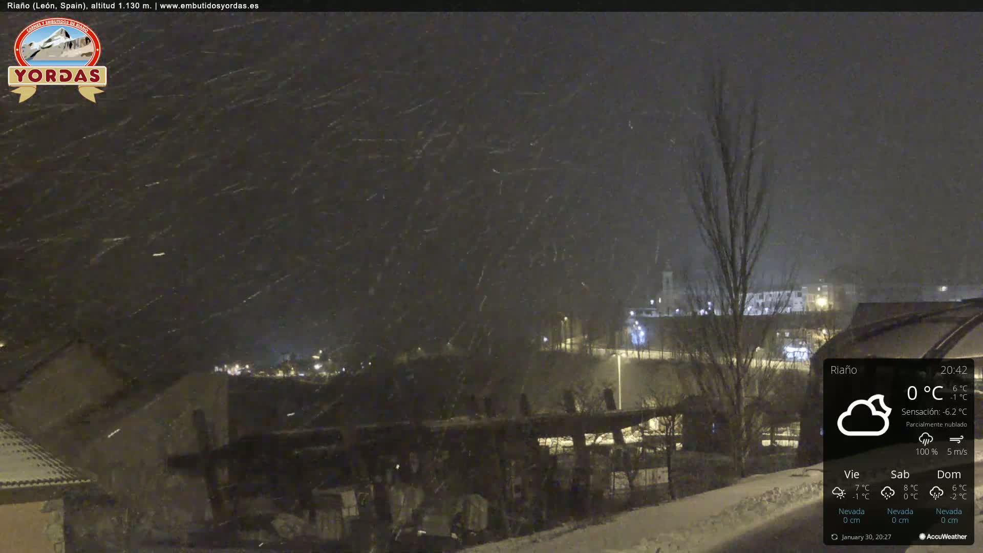 A nighttime scene of a snow-covered town under heavy snowfall.