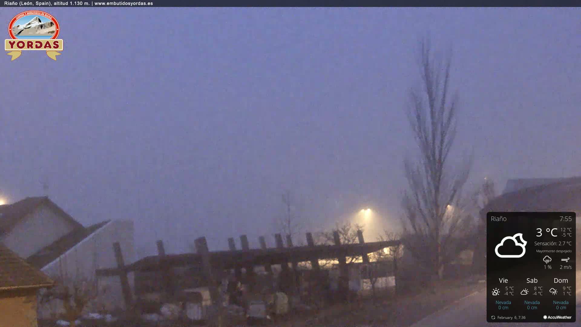 A foggy, twilight scene shows a few buildings and a bare tree under dim streetlights.