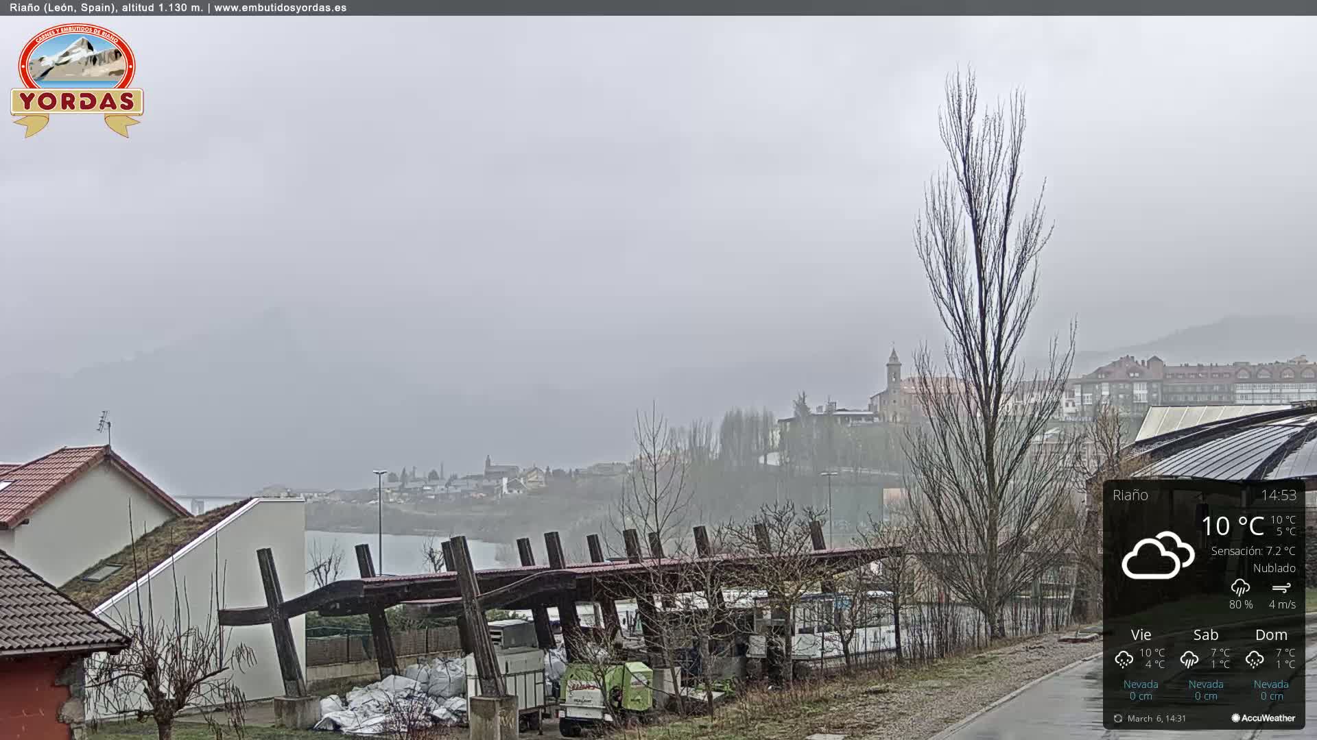 A misty, overcast view of a town and lake, with bare trees and buildings in the foreground.