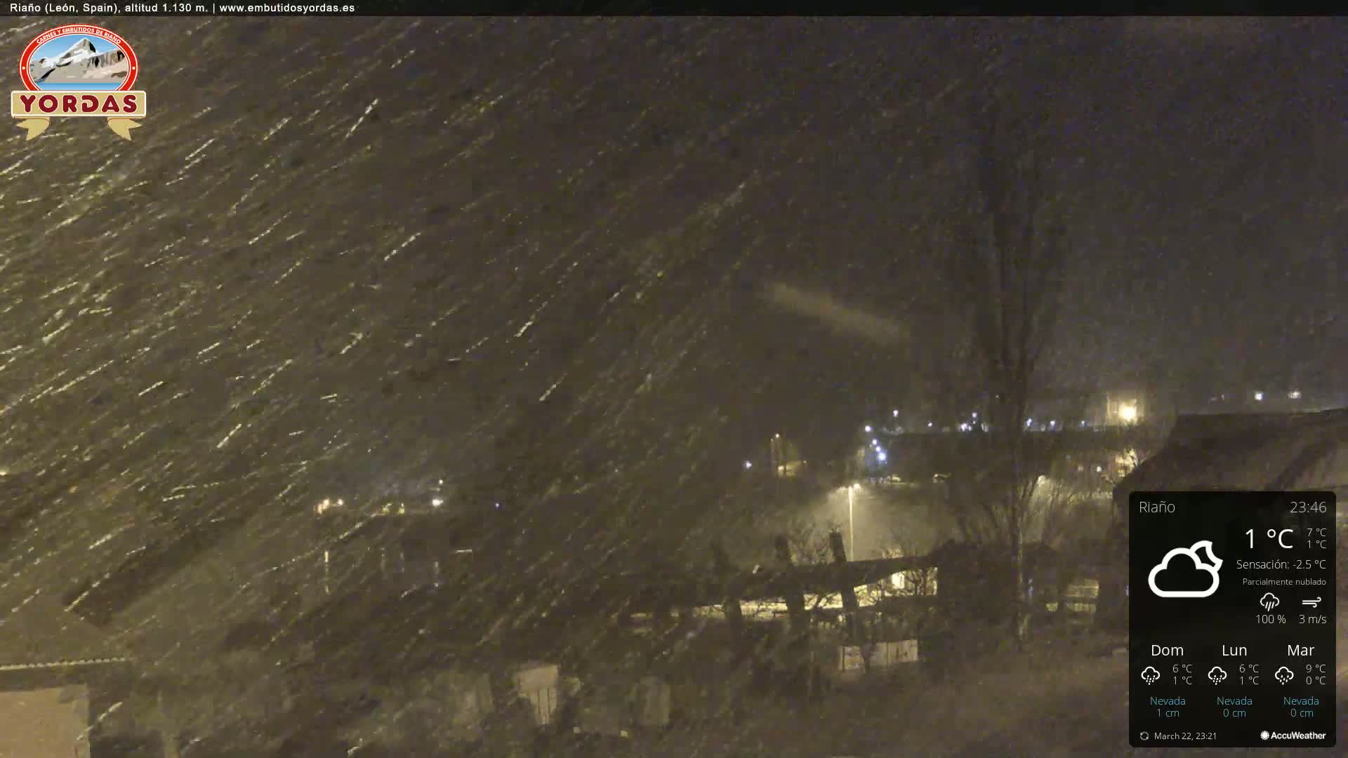 Heavy snow falls at night over a dimly lit town.