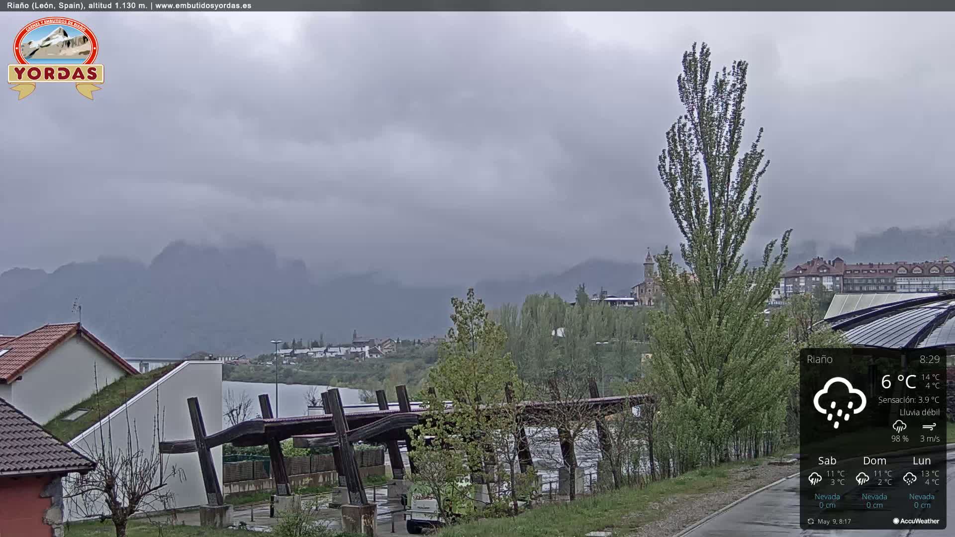 A rain-swept view shows a town nestled in a valley, with mountains in the background and a tall tree in the foreground.