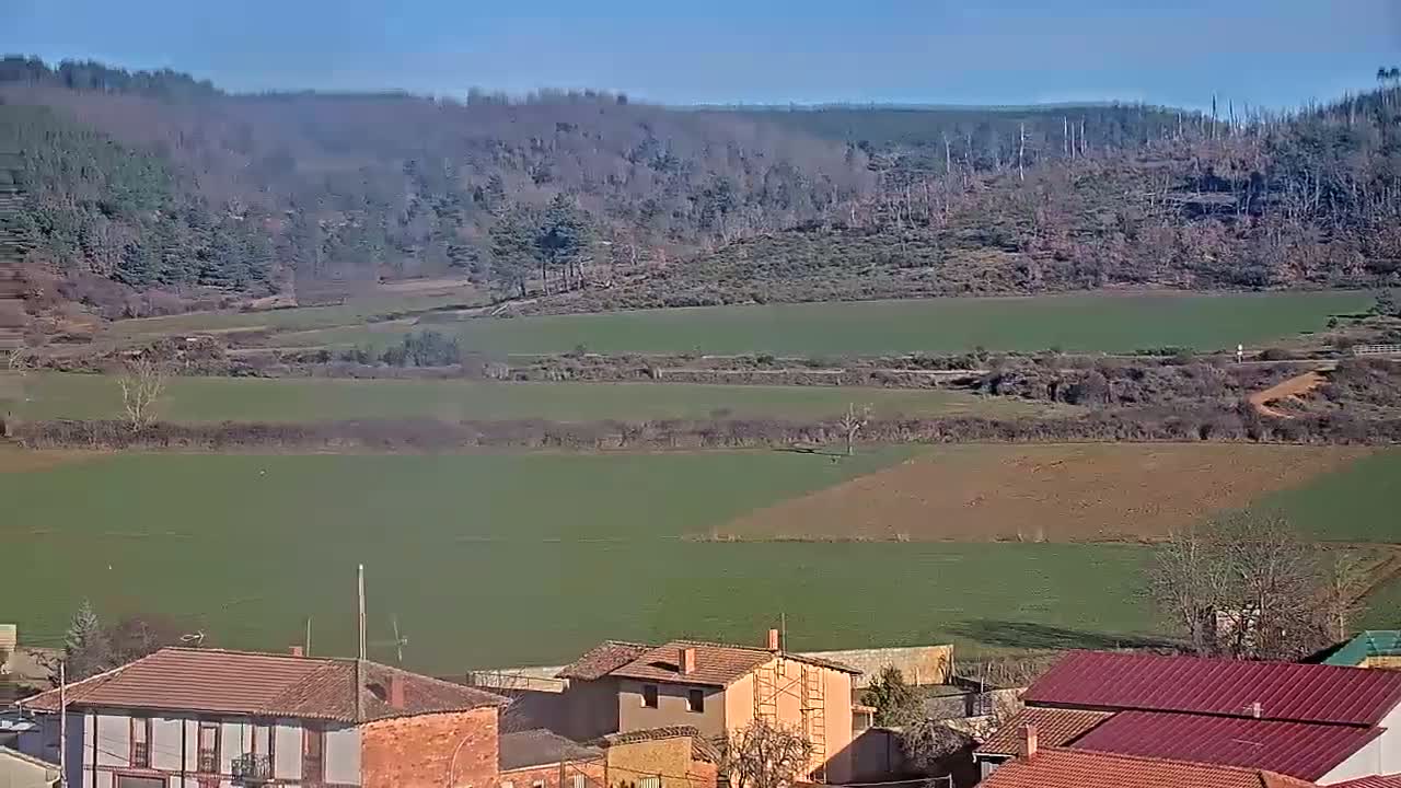 A sunny view of a valley with green and brown fields, a few houses, and a hillside covered in trees in the background.
