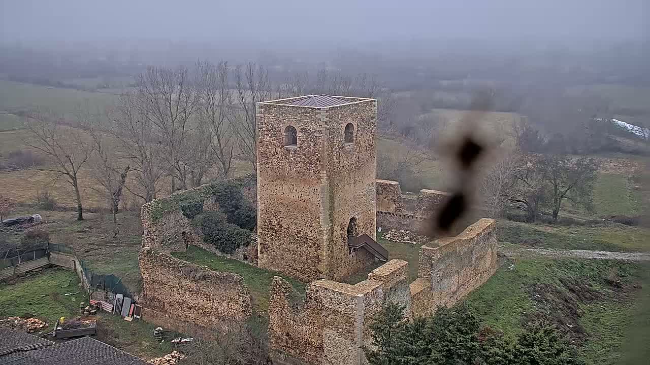 A stone tower and surrounding ruins are situated on a grassy hill in a foggy landscape.