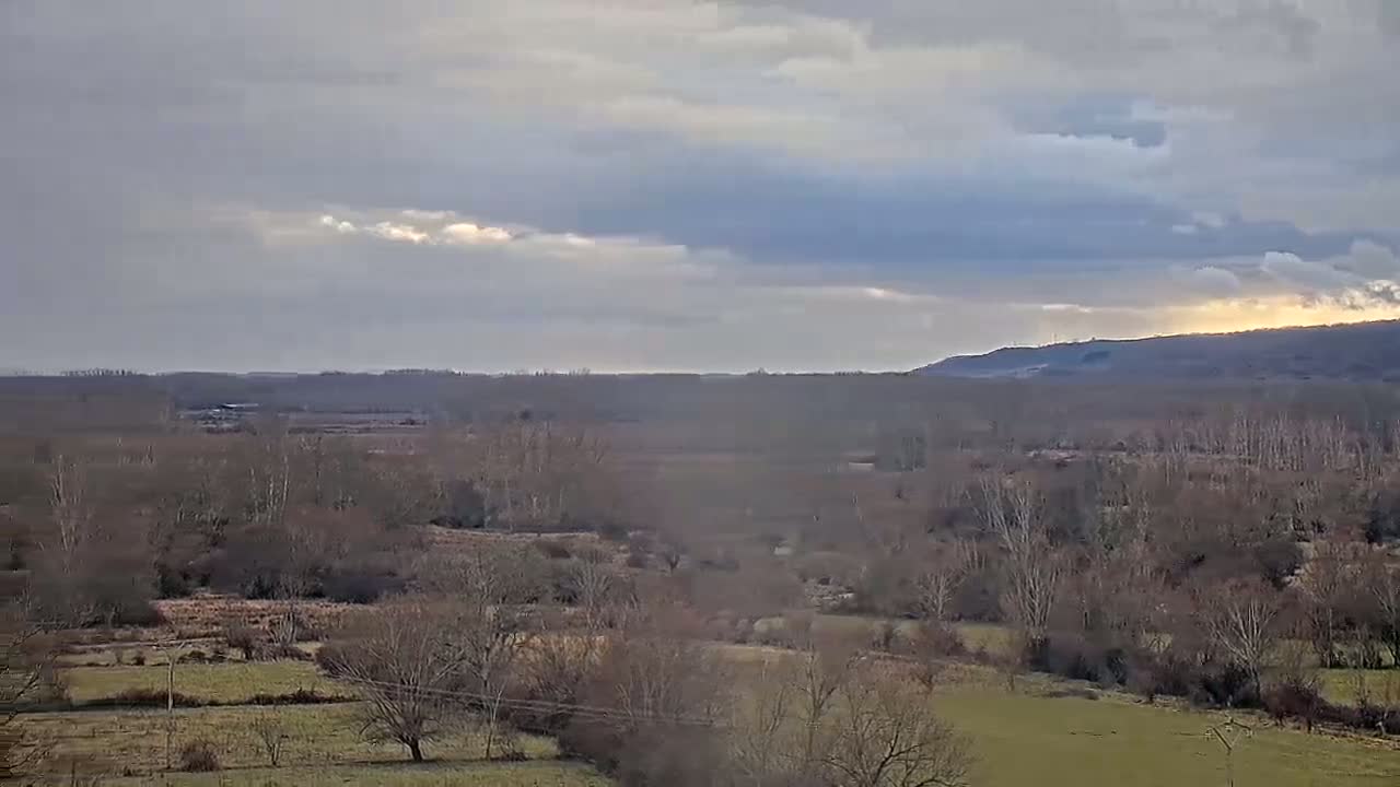 A vast, flat landscape of leafless trees and open fields under a cloudy sky with a hint of sunlight breaking through.