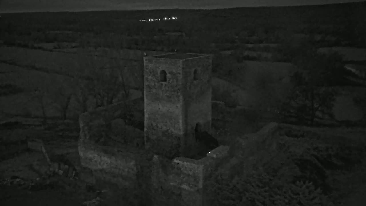 A stone tower, part of a larger ruin, stands at night under a dark sky, overlooking a landscape of trees and fields.