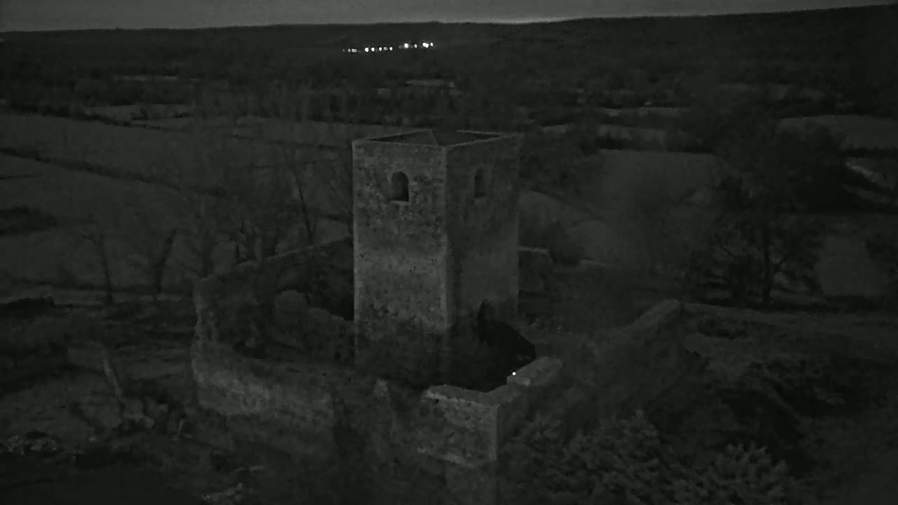 An aerial view at night shows the stone ruins of a tower, surrounded by dark trees and fields under a dim sky.