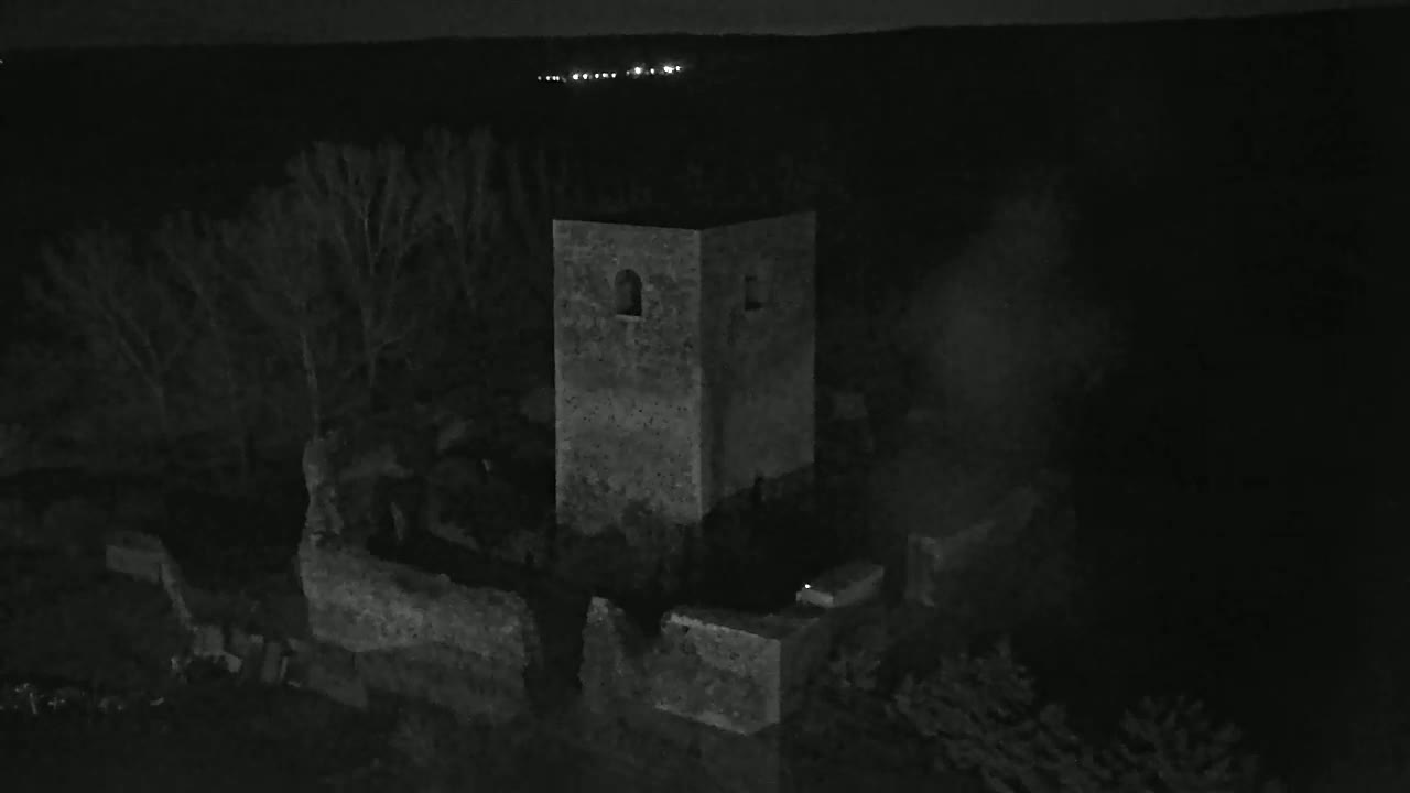 A stone tower ruin stands amidst dark trees under a nighttime sky with distant lights visible on the horizon.