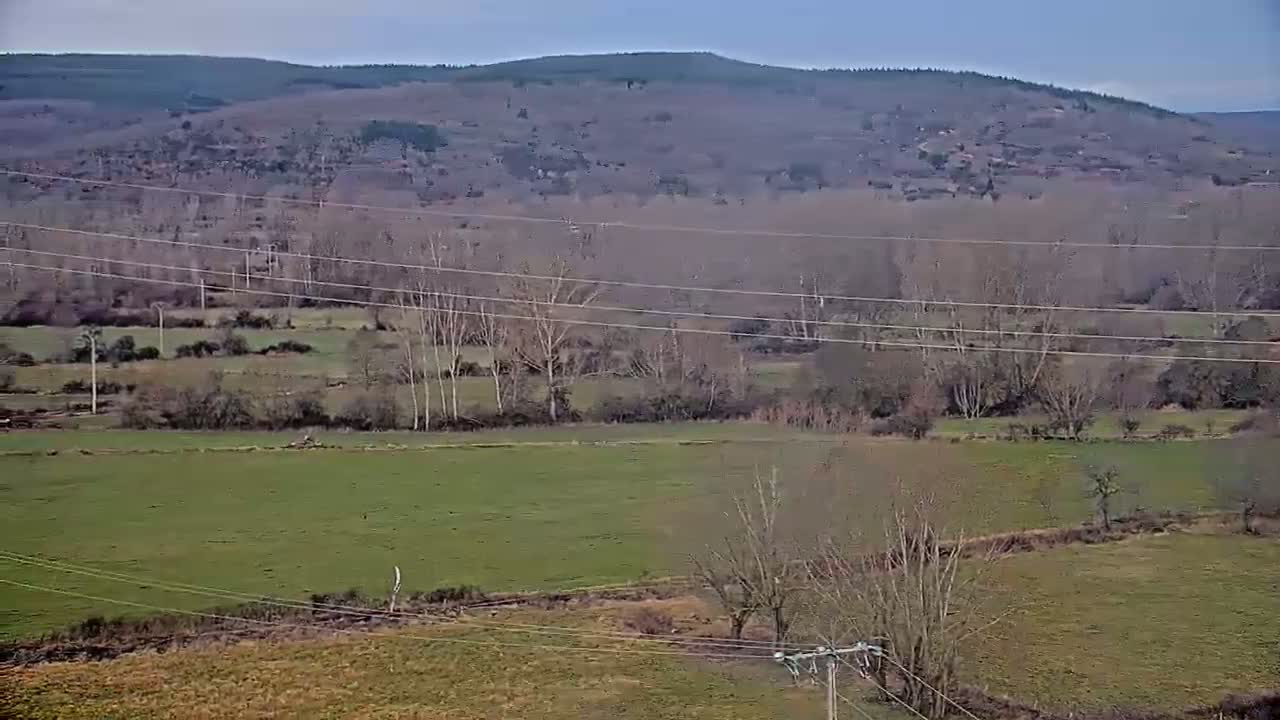 A view of a valley with bare winter trees, green and brown fields, and power lines stretching across the landscape under an overcast sky.