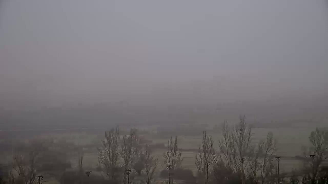 A foggy landscape shows bare, winter trees and a flat expanse of land stretching into the thick, gray mist.