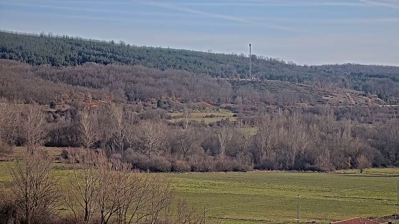 A grassy field stretches out before a line of bare winter trees, beyond which lies a hillside with leafless deciduous trees and a tall communications tower atop a distant hill under a clear blue sky.