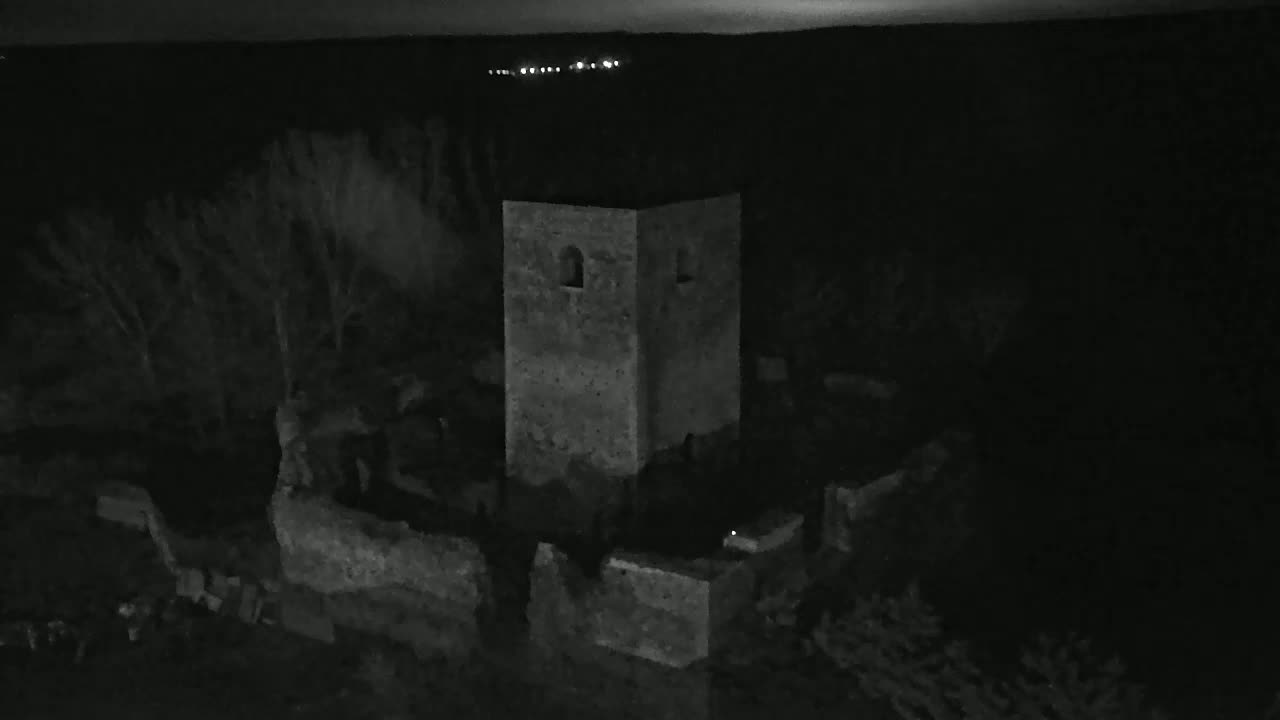 A stone tower and surrounding ruins are visible at night under a dark sky, with distant lights faintly illuminating the horizon.